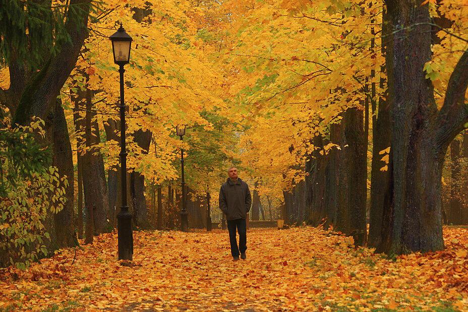 Я ДО СИХ ПОР ТЕБЯ РЕВНУЮ