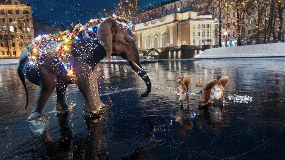 БЕЛКИ И СЛОНЫ