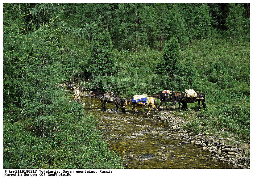 Семикач(горная речка в Бодайбинской тайге)