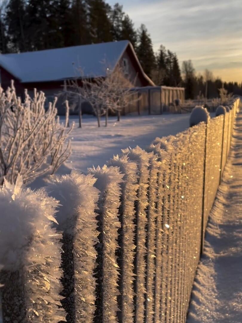 Хранит красота