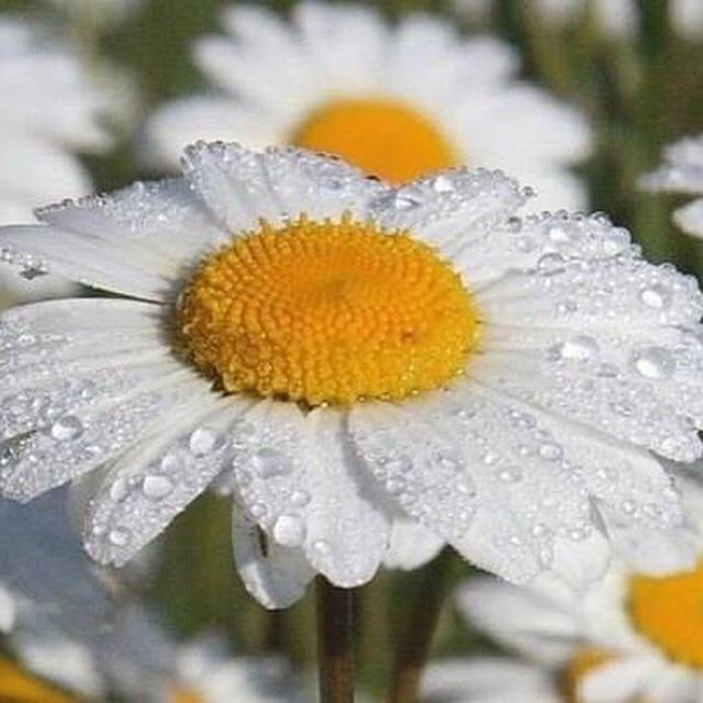 МАМА Наташа!