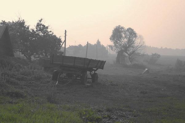 Мягкий свет осени
