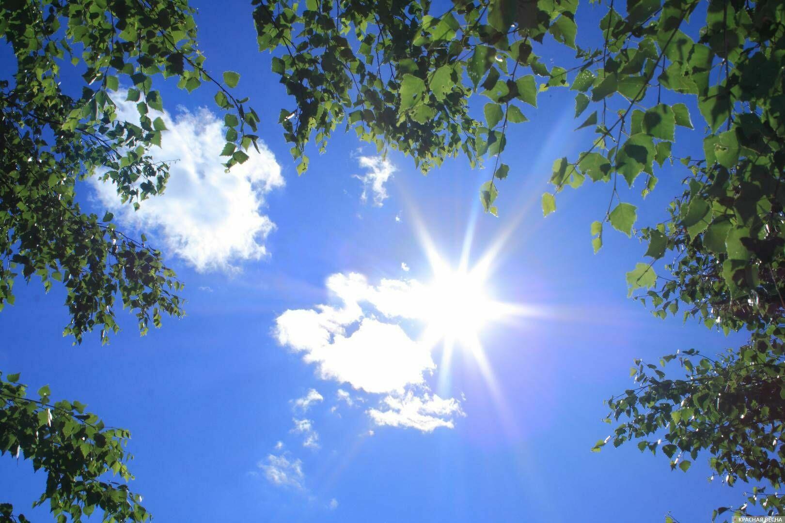 Небо, синее, бескрайнее...