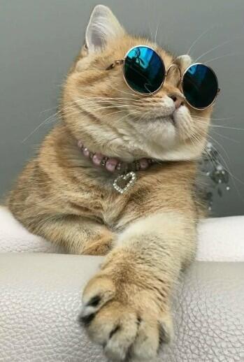 Он настоящий «МАЧО»