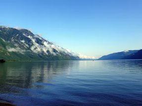 Бобы с грибами