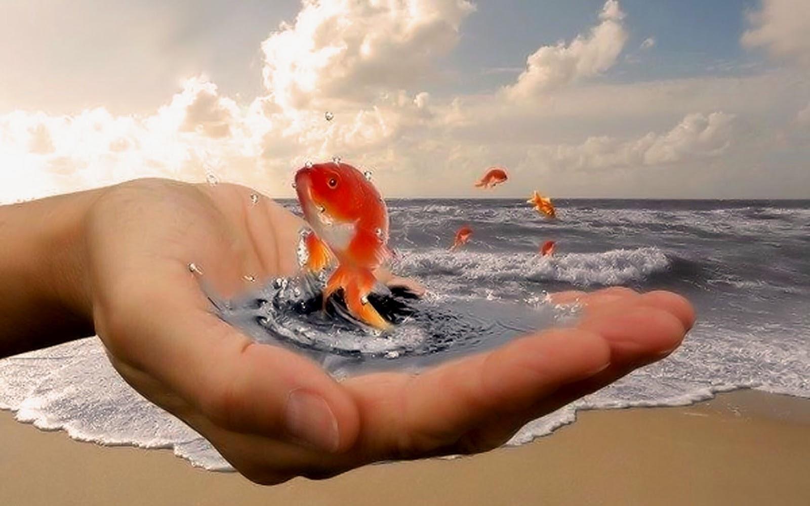 Чудесная судьба 1. Золотая рыбка в руках. Золотая рыбка исполнение желаний. Добро у моря. Золотая рыбка исполняет желания.