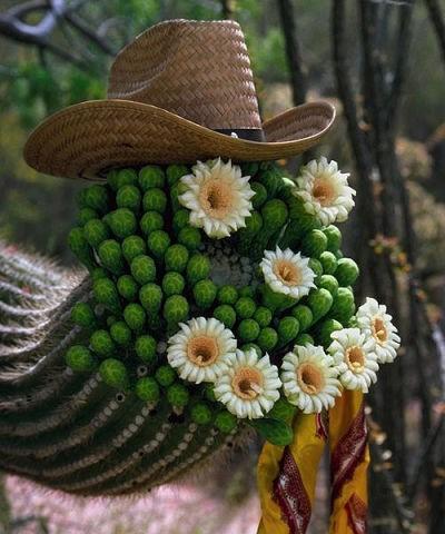 Война - это шизофрения...