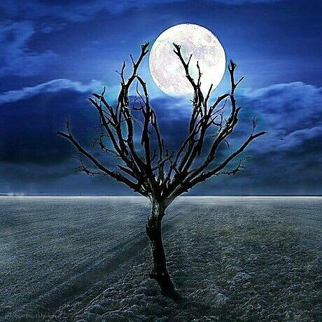 Будет час на земле  ✨ по мотивам стихов  Хосе Марти: «Я хочу покинуть этот мир...» 