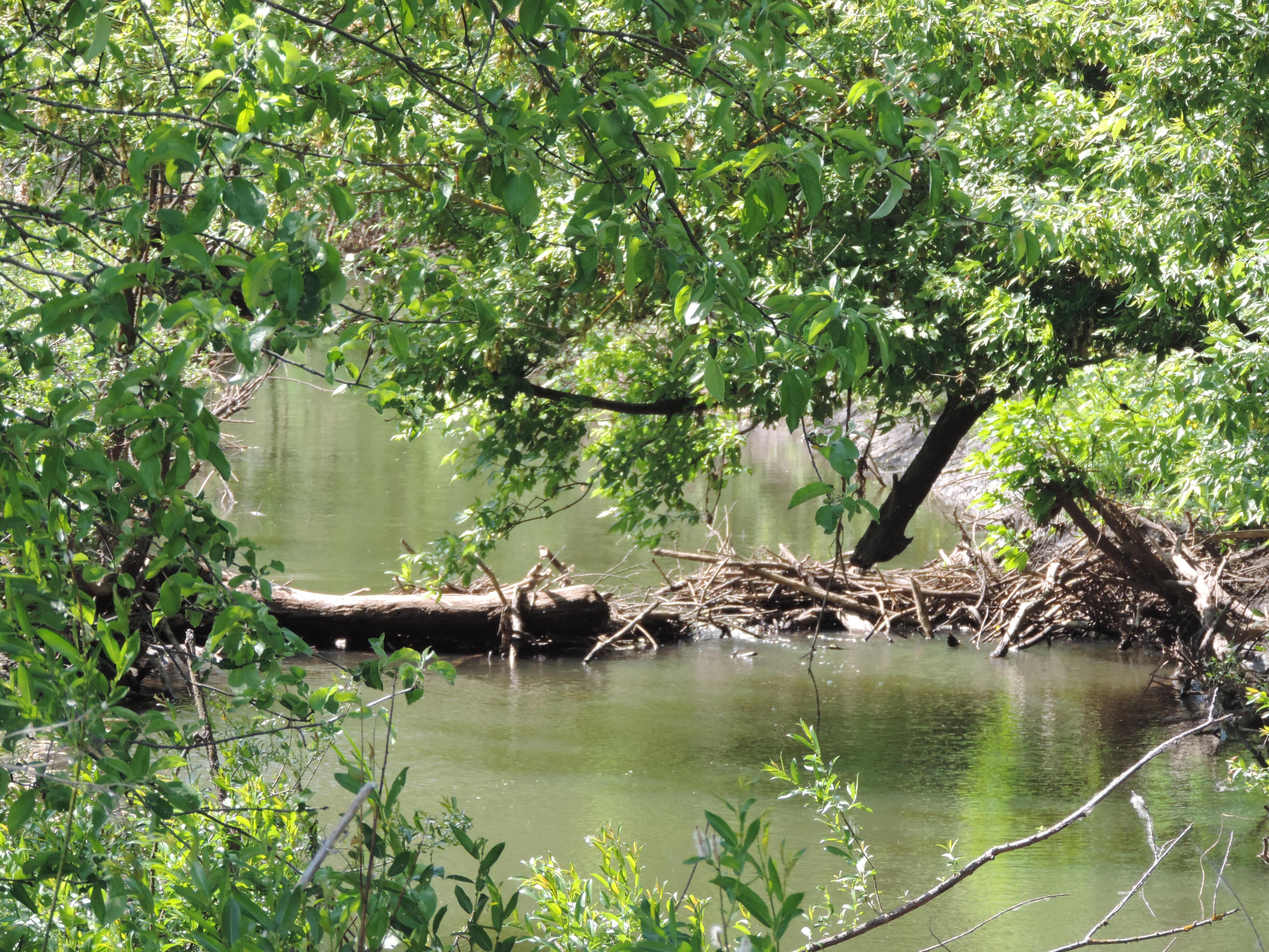 Кто не против водицы?)