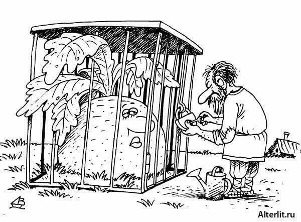 Хулиганство.