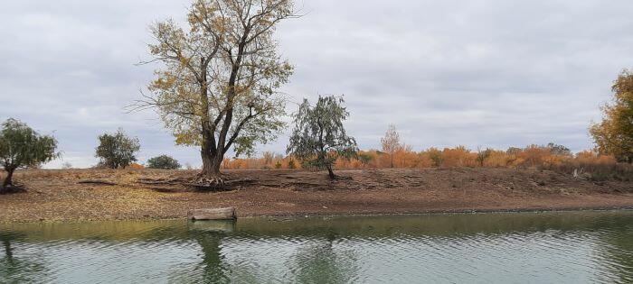 Знакомой из посёлка