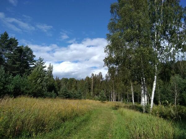 ВЕТРАМ НАЗЛО