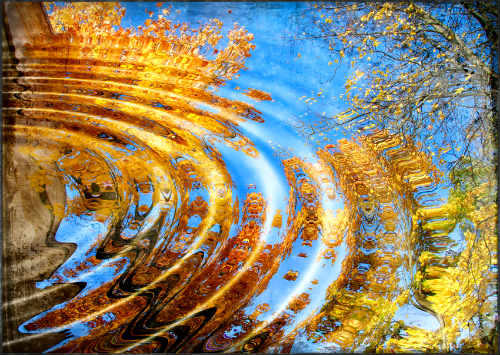 ПОДХОДИТ  ОСЕНЬ....