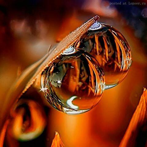  Когда Душа  плачет...