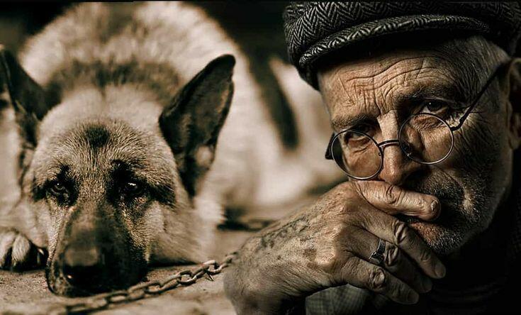 Здесь лай собак из будок по ночам...