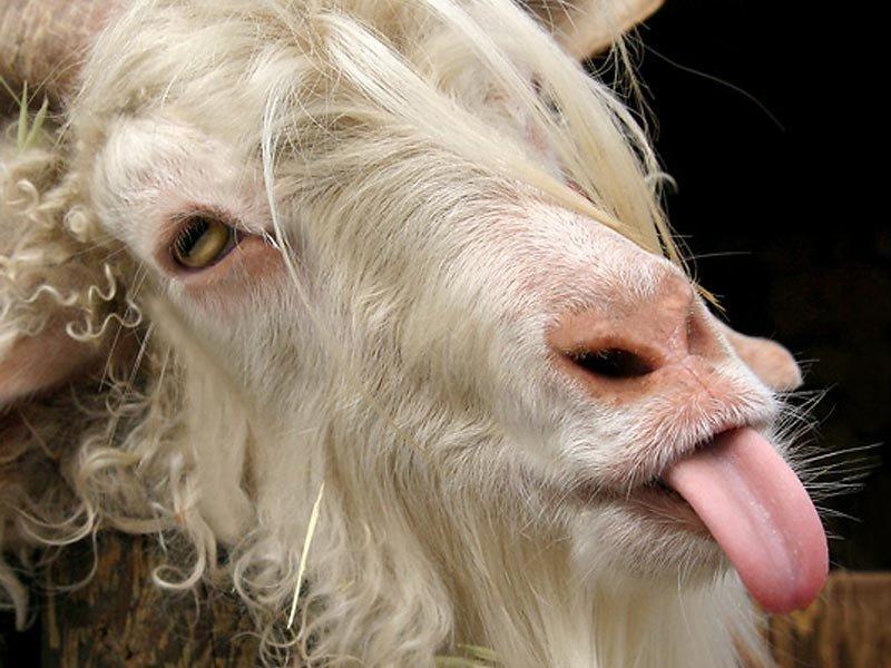 Как в воду глядела!