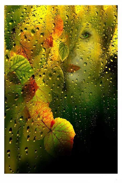 Счастье внутри