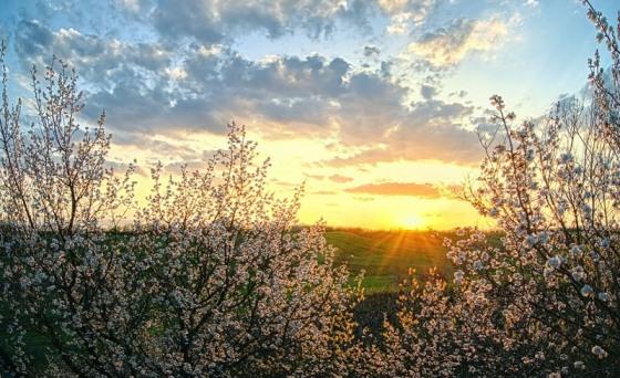 АПРЕЛЬСКОЕ УТРО