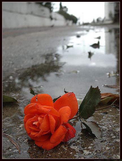 ЛУЧШЕ БЫТЬ...