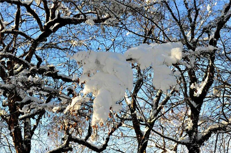 ПРОЩАЛЬНЫЕ ГАСТРОЛИ ЗИМЫ