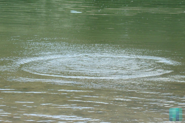 "Утонула мечта" (15.05.2016)