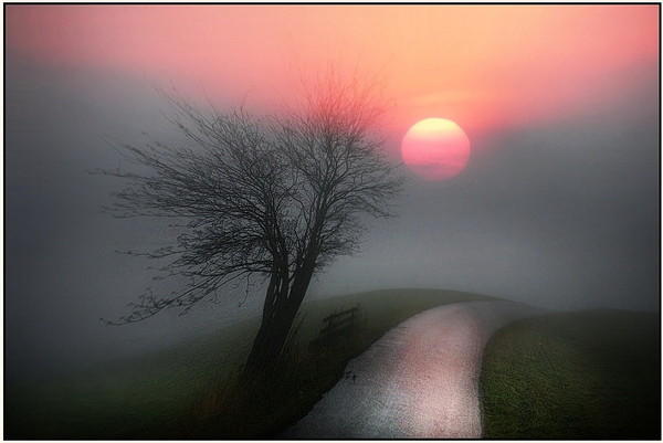 Жизнь - дорожная лента