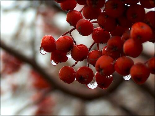 Осени примета