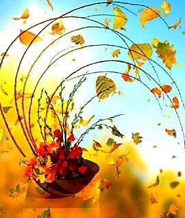 Переменчивый ветер