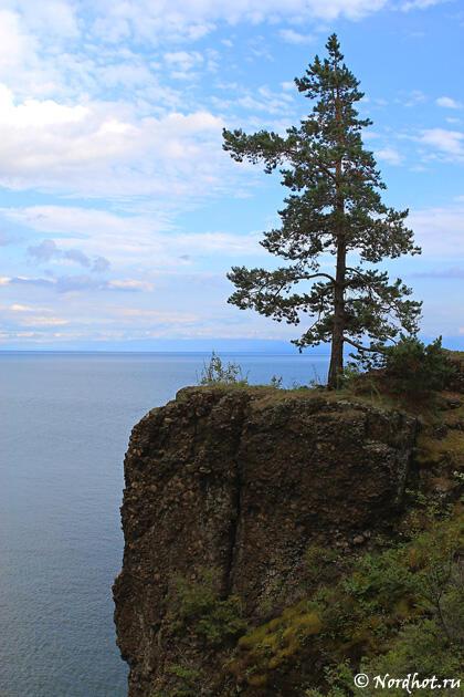 Чарующие звуки музыки