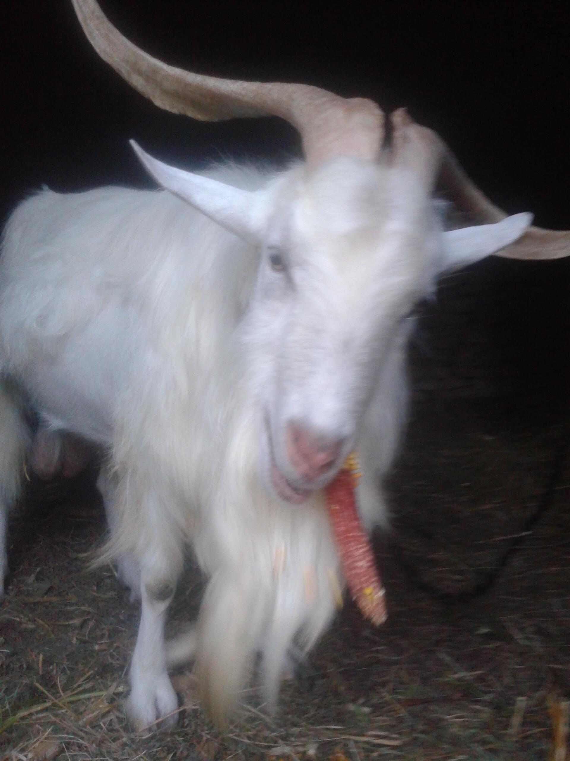 не пыльная работа