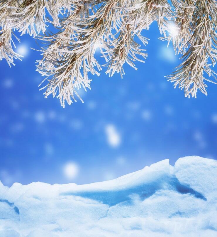 ЗИМА, КАК БУДТО БЫ, СПРОСОНЬЯ...