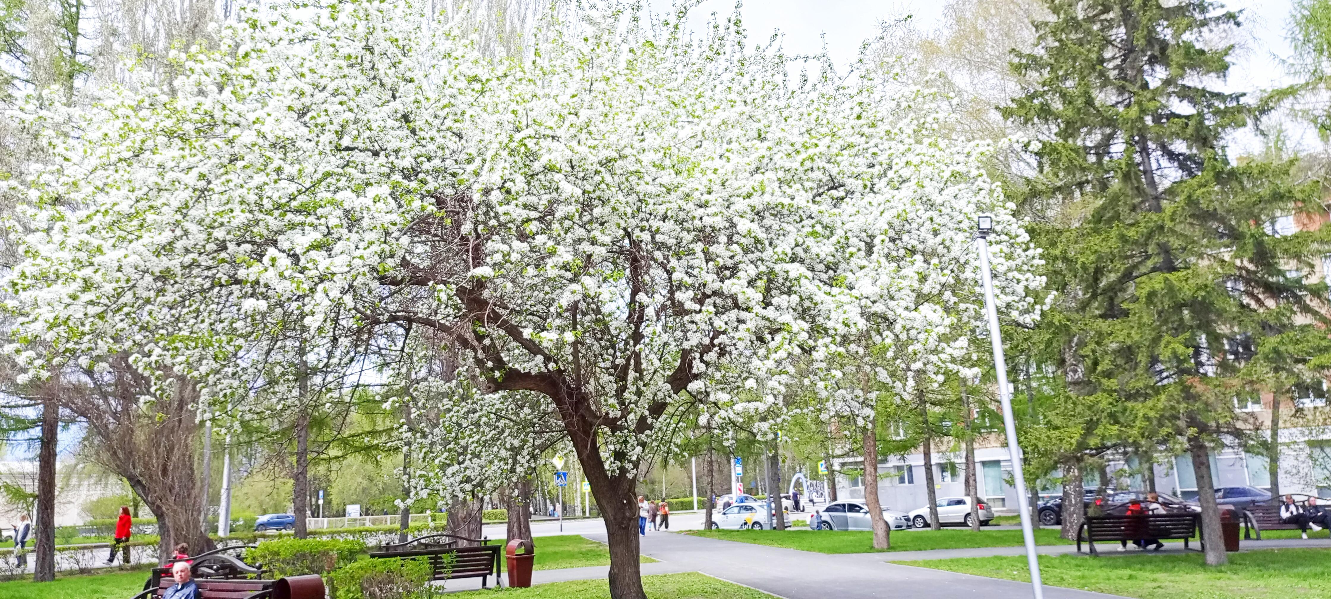 Любовь живёт.