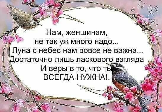 Пройдёт моя печаль и боль развеется...