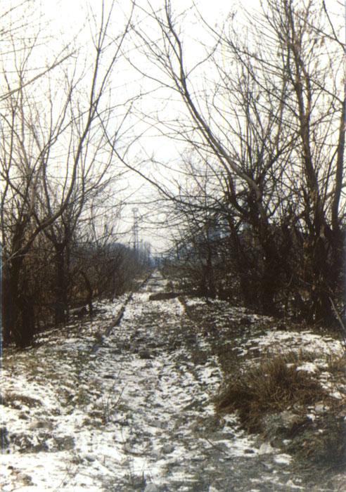 «ИДИОТиzым»