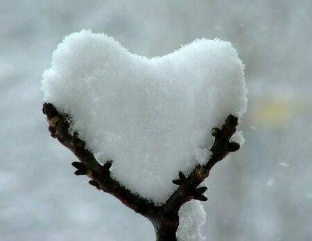 Первая любовь – как первый снег...
