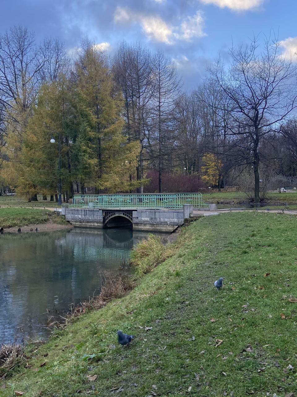 Отчего мне близка эта осень?