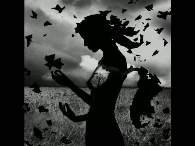 Былые чувства