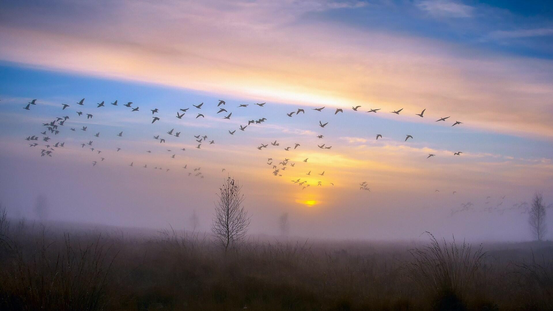 Будут взлёты, будут падения... [B]