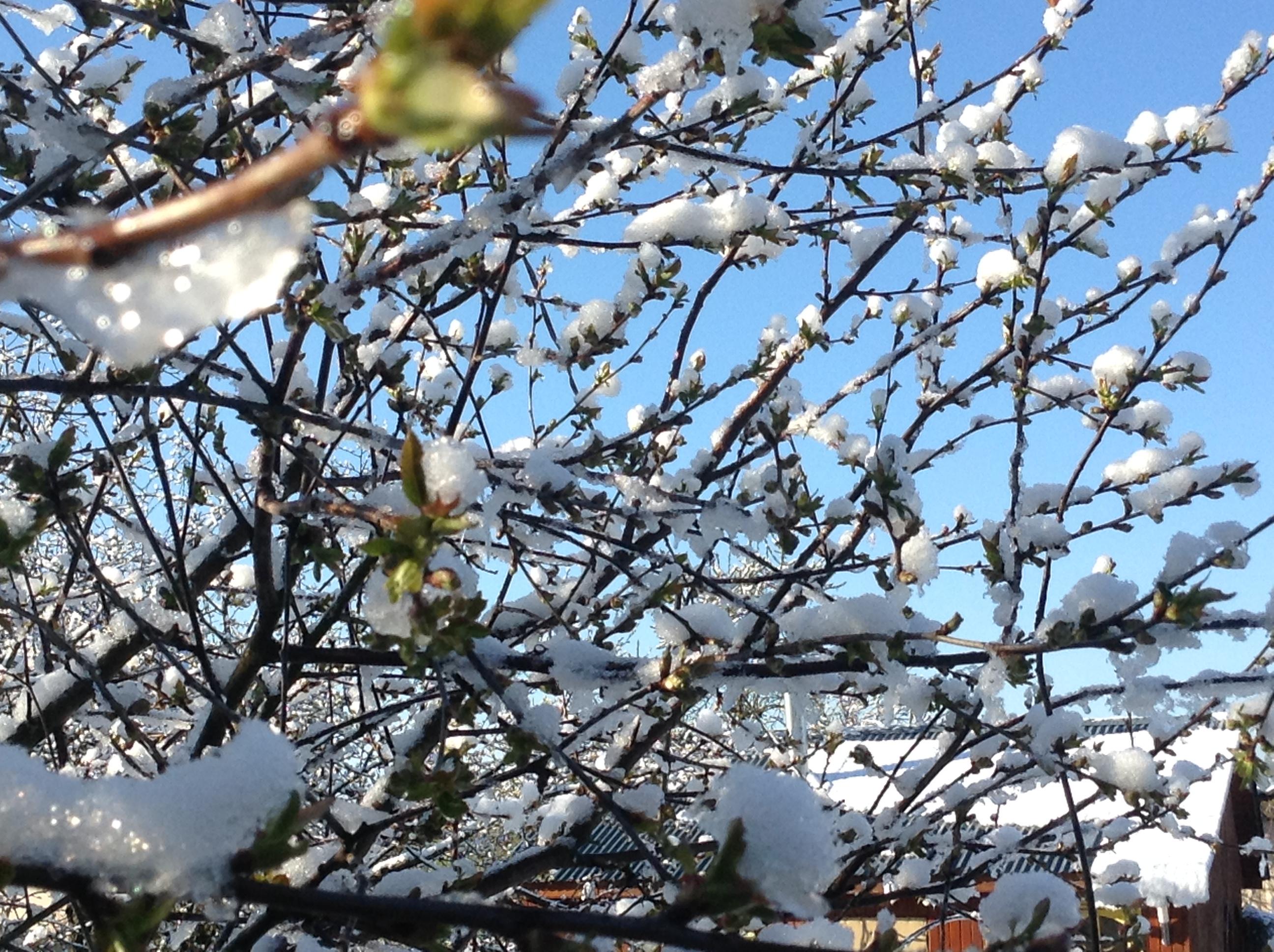 Не май месяц ...