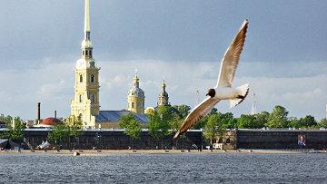 Влюблённый в Питер поневоле