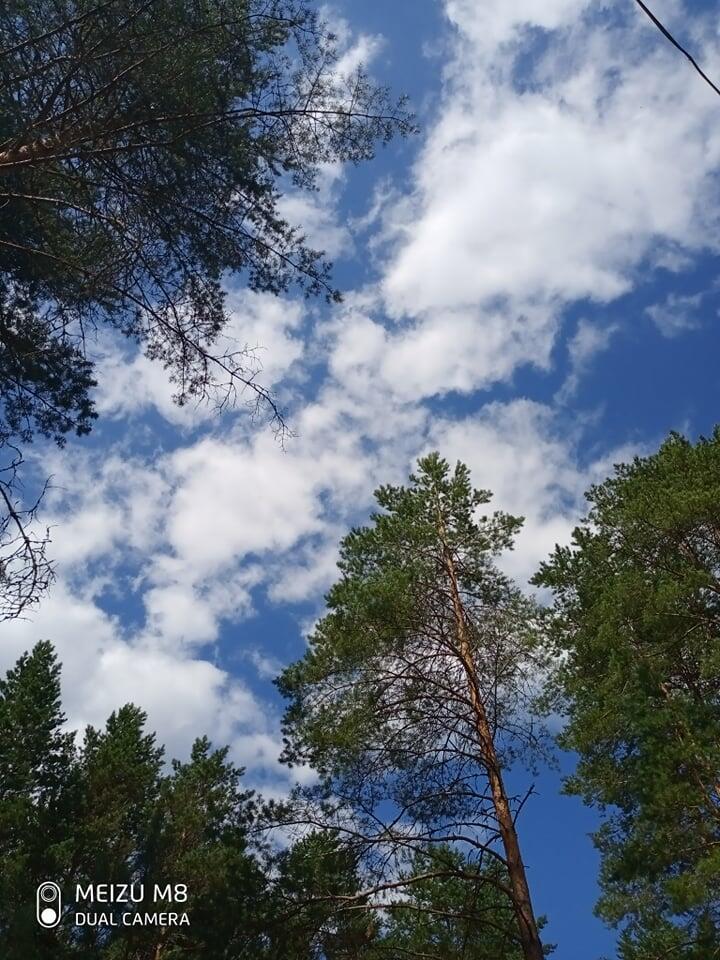 Валдайская сказка от 8. 06. 2014