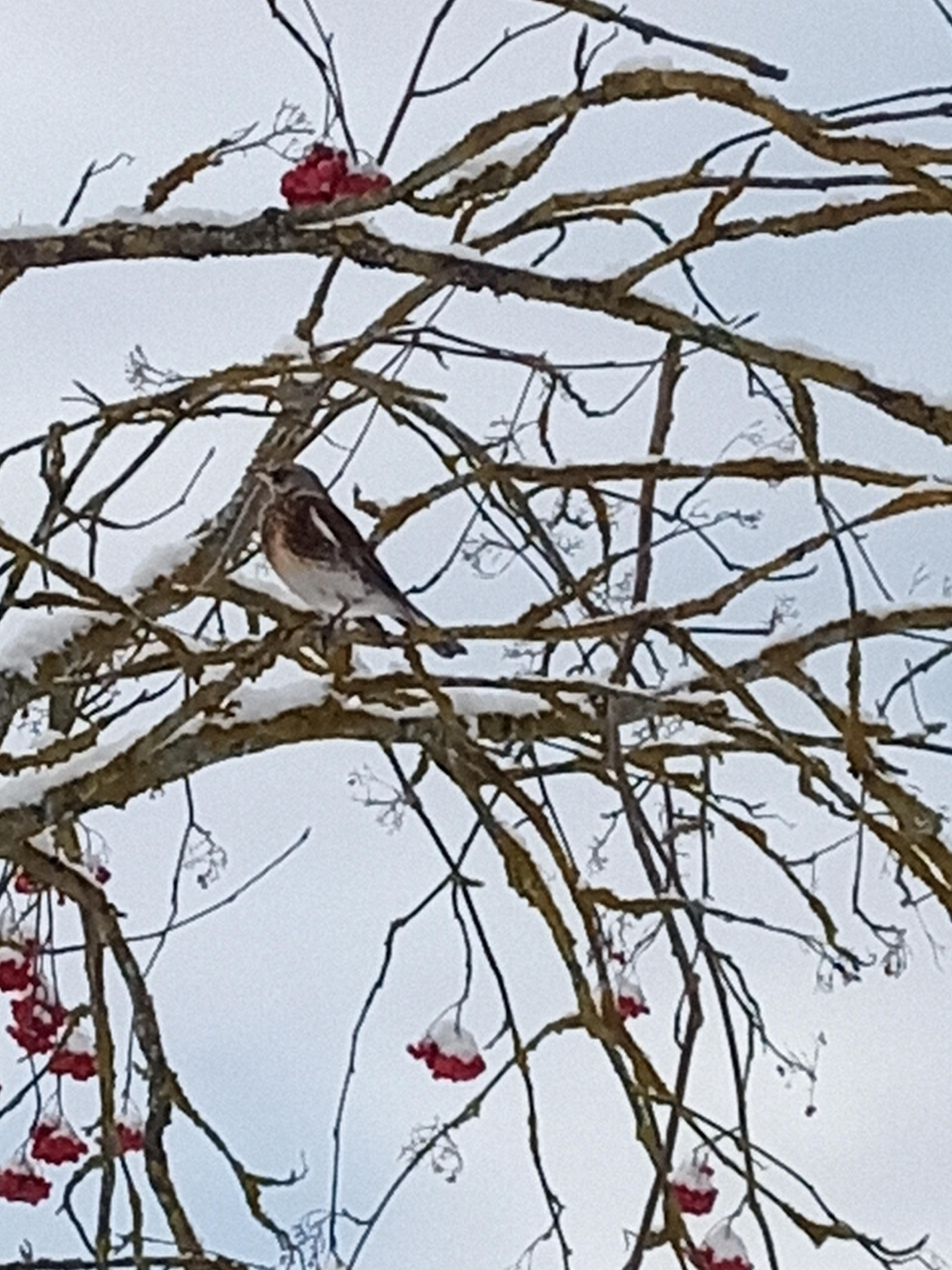 Когда я умру...