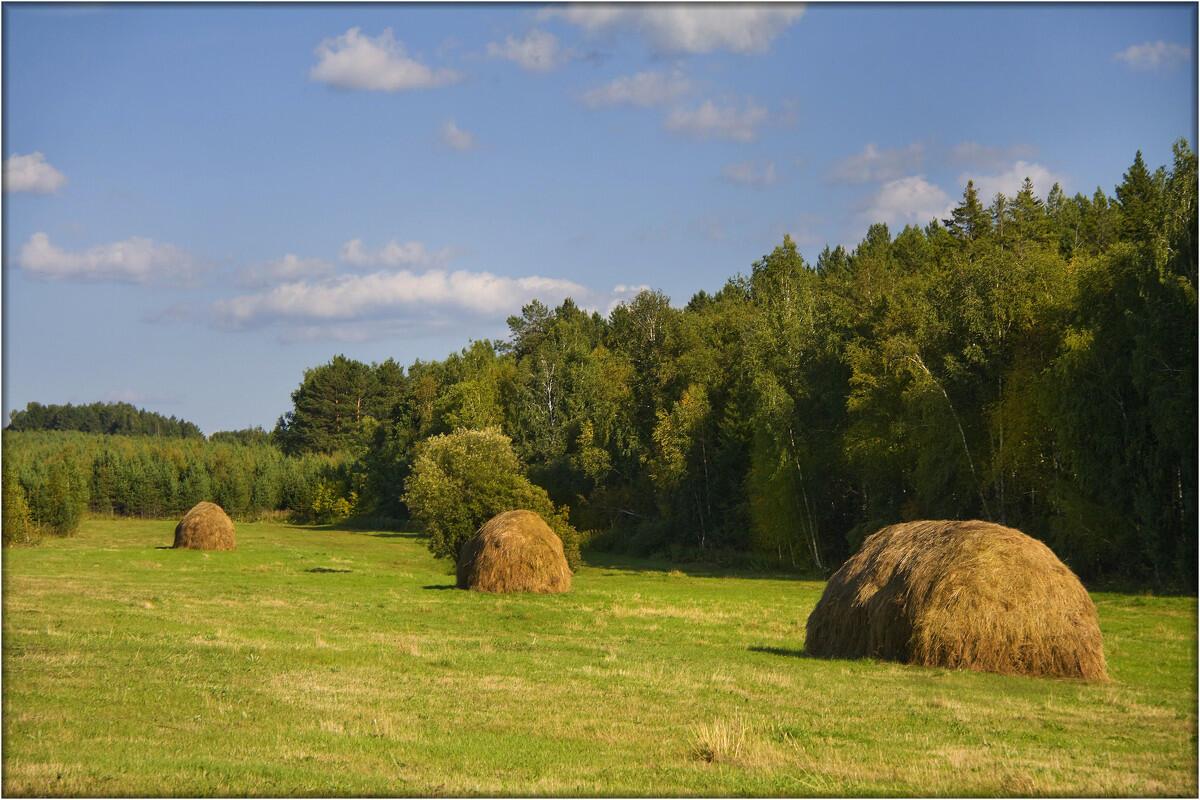 ​---Аромат природы---