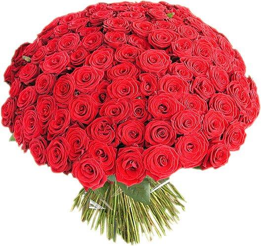 Сестренка от 24. 07. 2010