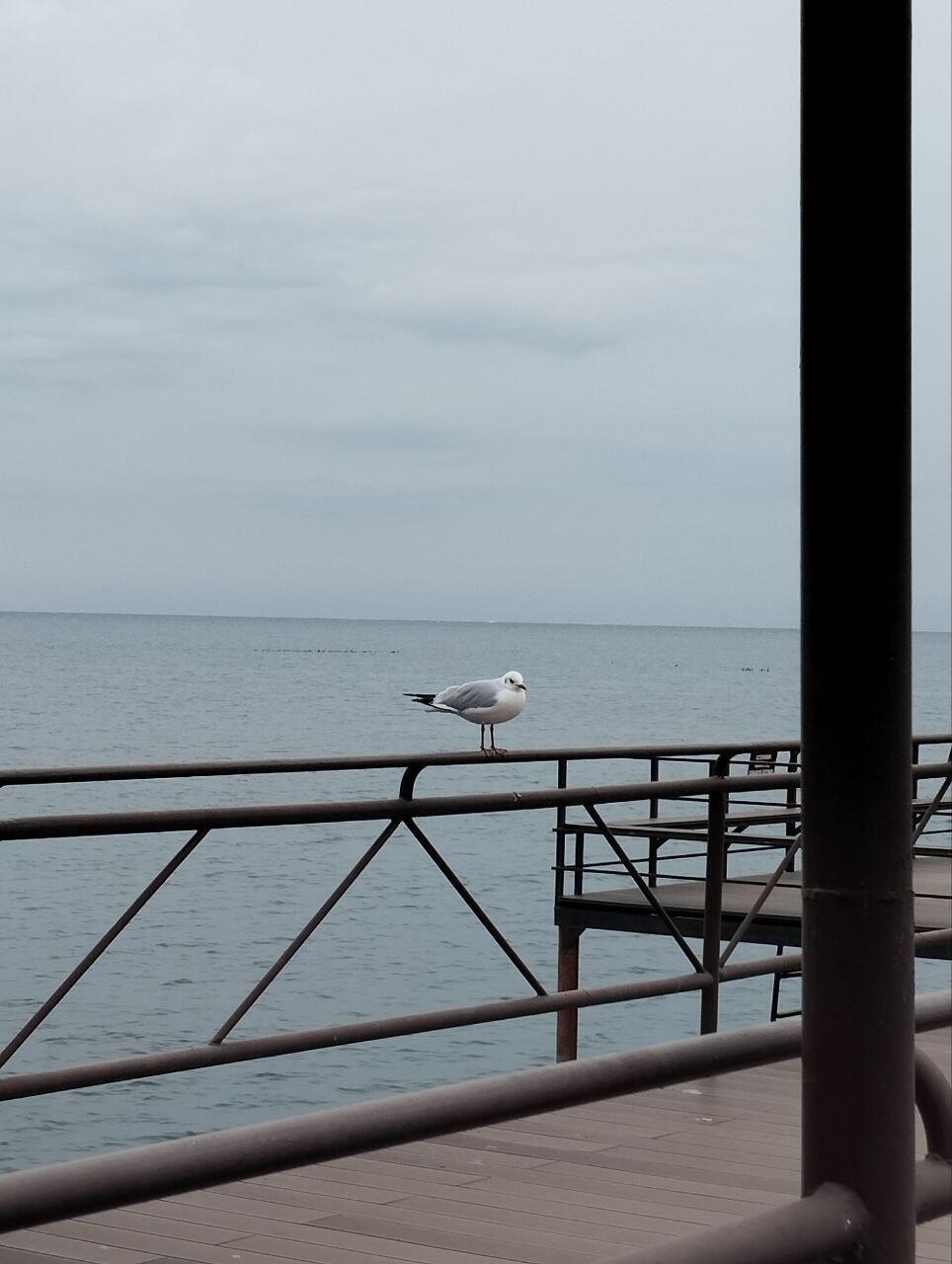 Прославляю Тебя, мой Создатель 