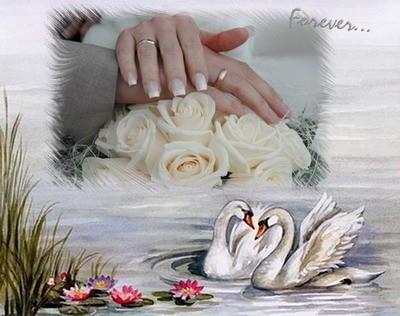 Лебединый танец.