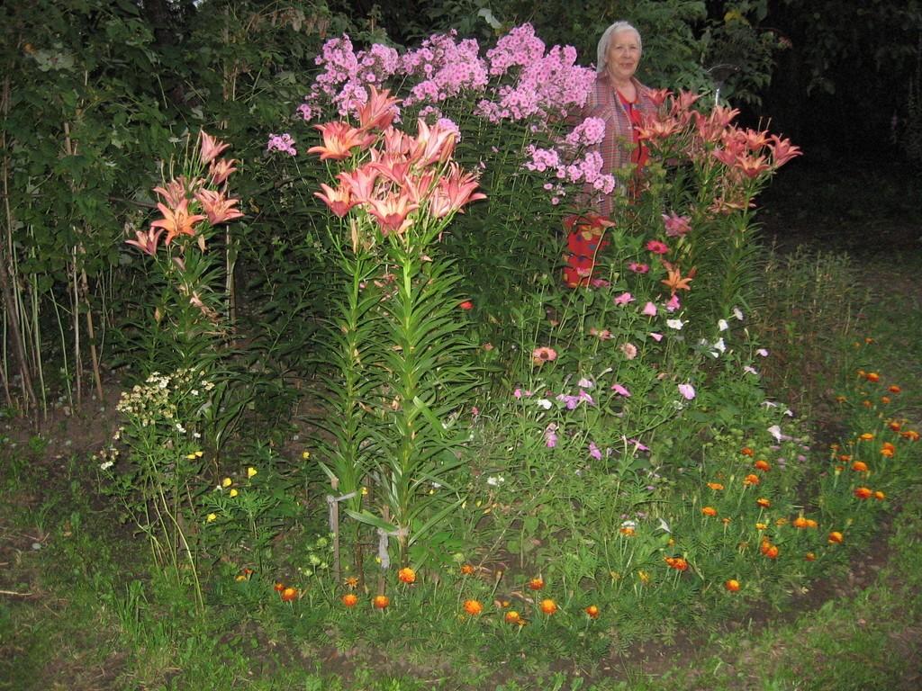 ХОЧУ БЫТЬ МУСОРОМ (валик)