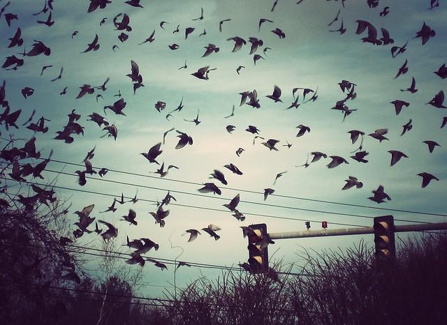 Провода гудят очень тихо