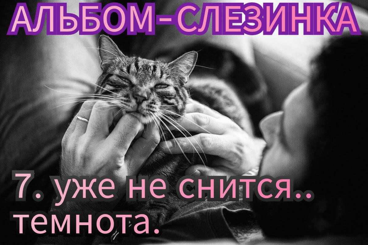 7. УЖЕ НЕ СНИТСЯ ТЕМНОТА..
