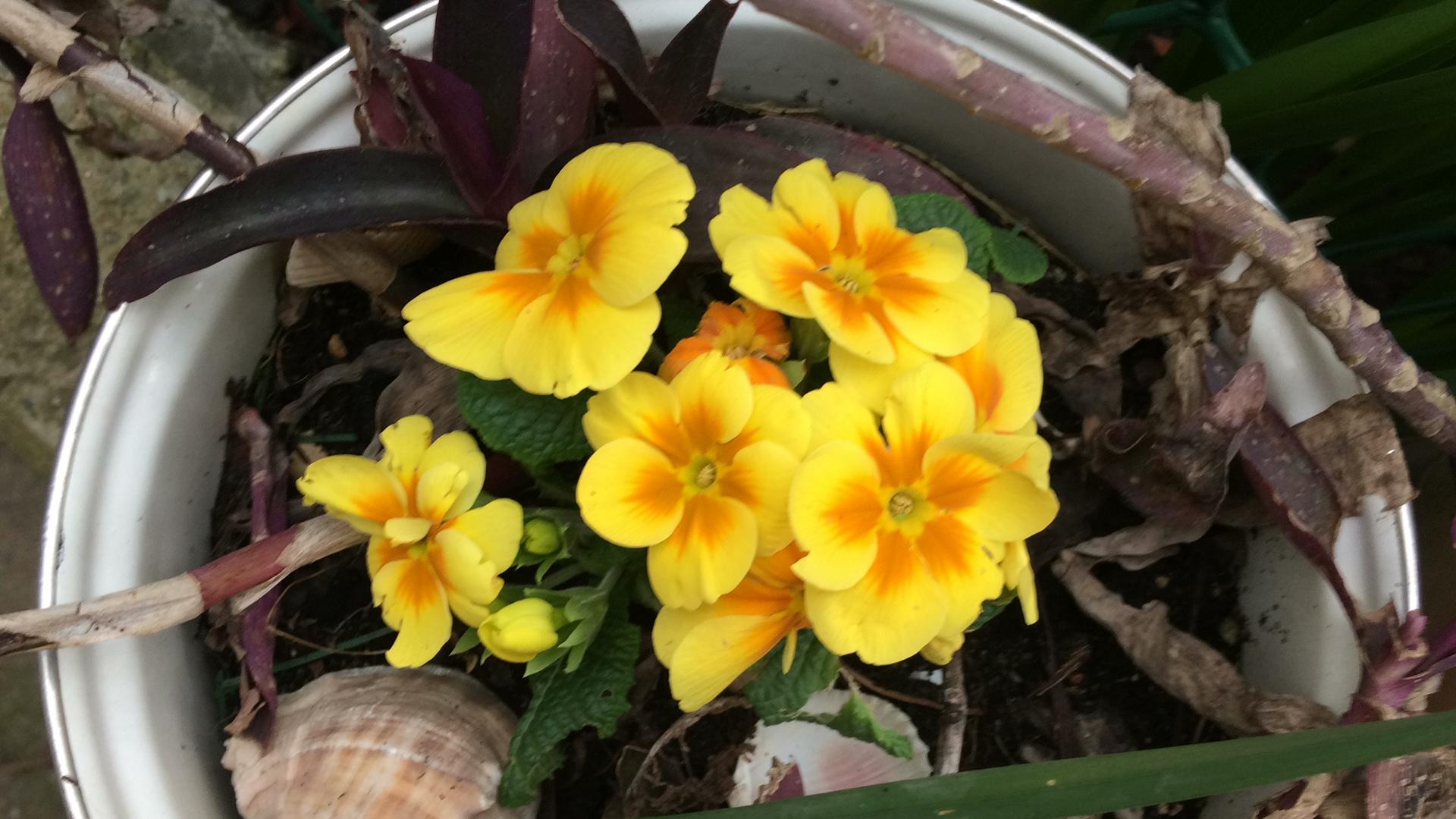 БУТЕРБРОД ВИТАМИННЫЙна конкурс